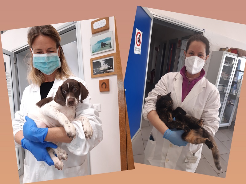 L'immagine ha un sfondo rosa antico, all'interno ci sono due foto, la prima a sinistra è un'operatrice on un cane in braccio, nell'altra un'altra operatrice con un gatto